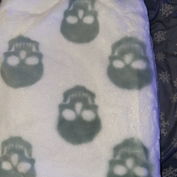 NWT Rachel Zoe teal /green Skull Halloween Blanket Throw - Picture 3 of 4